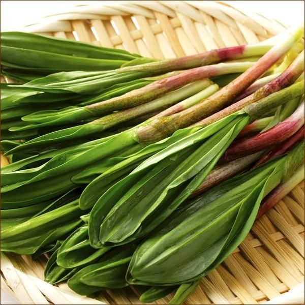 50g×100束
