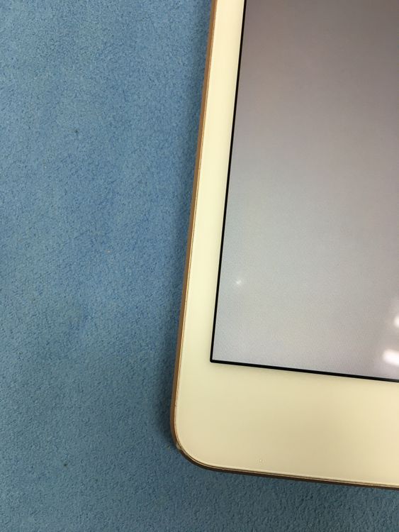 【動作確認・初期化済】Apple iPad mini 第5世代 シルバー本体のみ iPad mini 第5世代 64GB Cellular + Wi-Fiモデル シルバー 中古