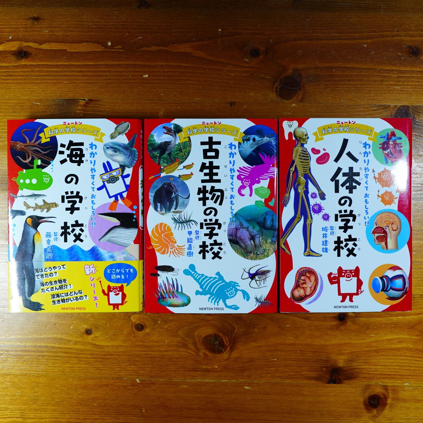 ニュートン 科学の学校シリーズ 分かりやすくておもしろい