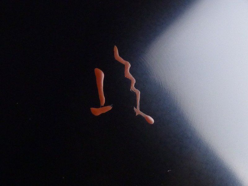 5客 共箱