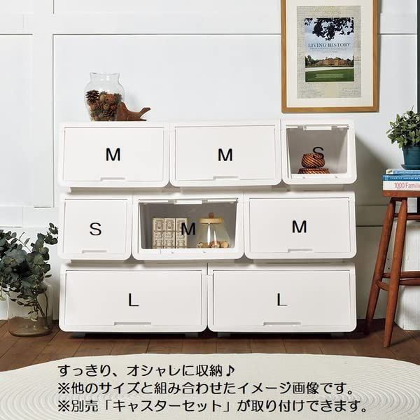 2WAYオープンタイプ 幅60×奥行43×高さ31cm ダークブラウン ロッキンポッドL フラップ式ロック付収納ボックス 6個セット Astage JEJアステージ JEJ NEXPOTALLINN_EU