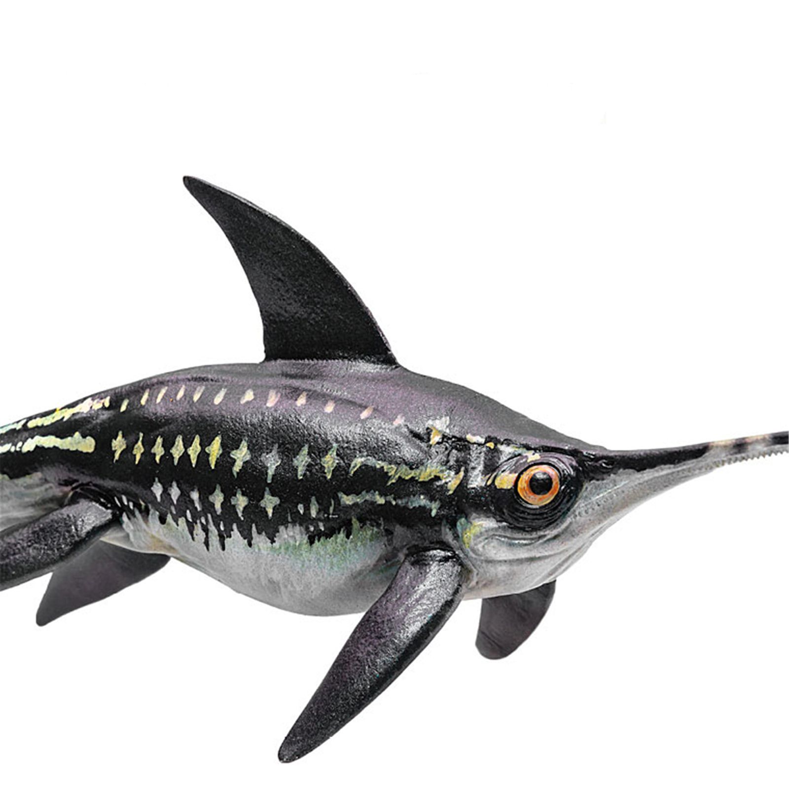 Amazon.co.jp: PNSO 成長シリーズ ヘリコプリオン 魚類 動物