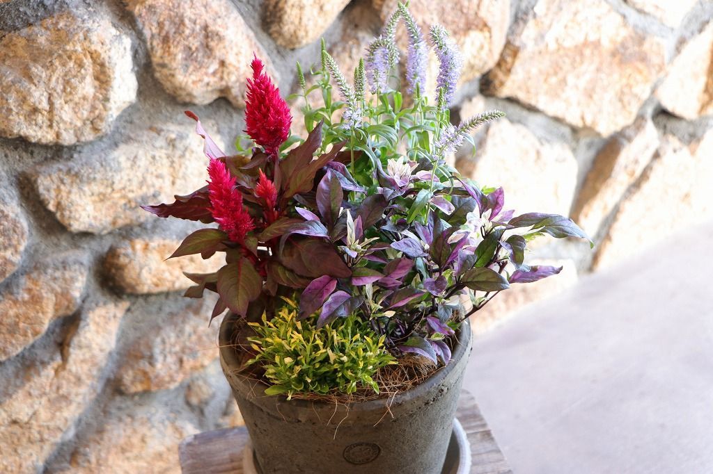 当店オリジナル