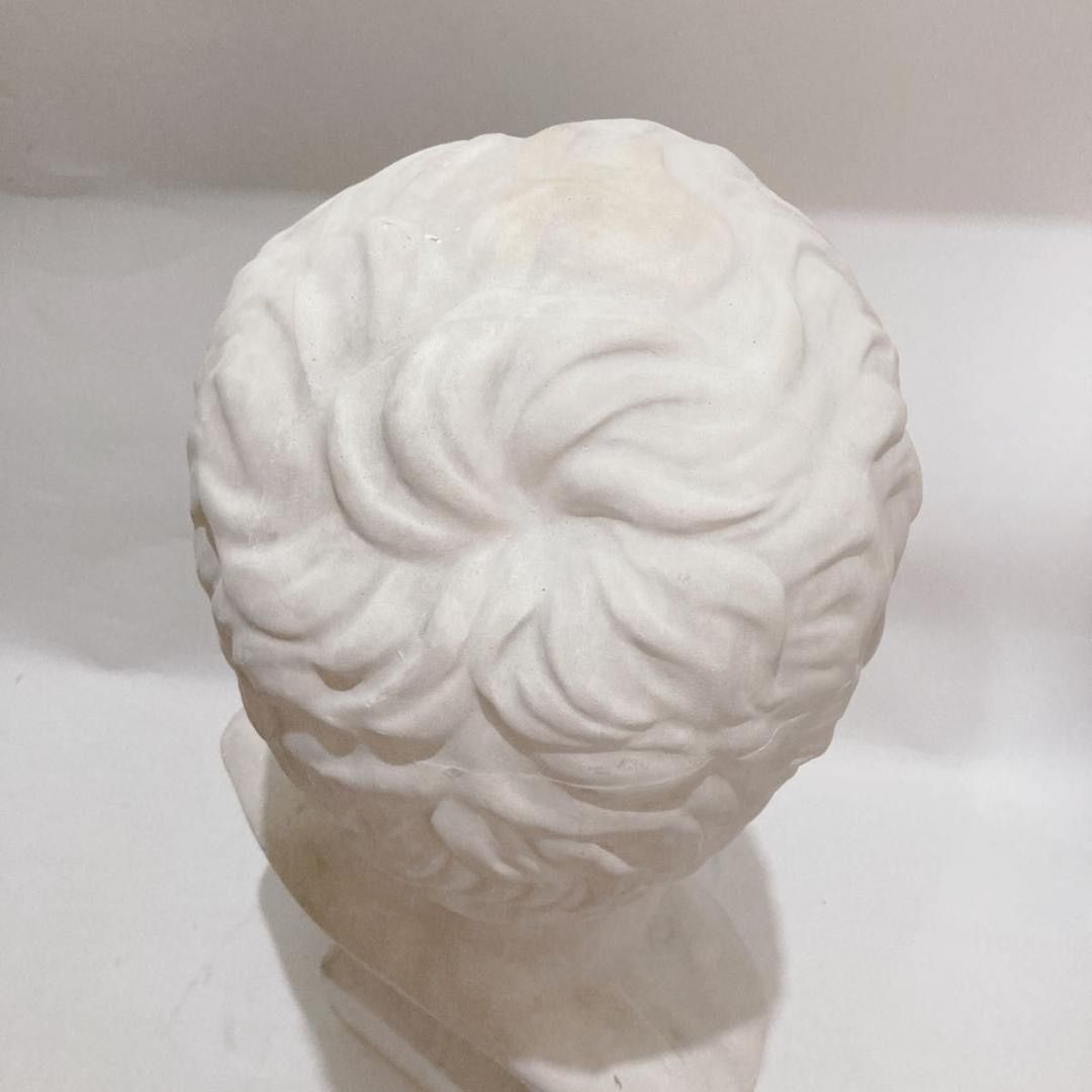 アグリッパ 石膏像 デッサン 胸像 美術 インテリア オブジェ アグリッパ 石膏像 デッサン 胸像 美術 インテリア オブジェ - メルカリ