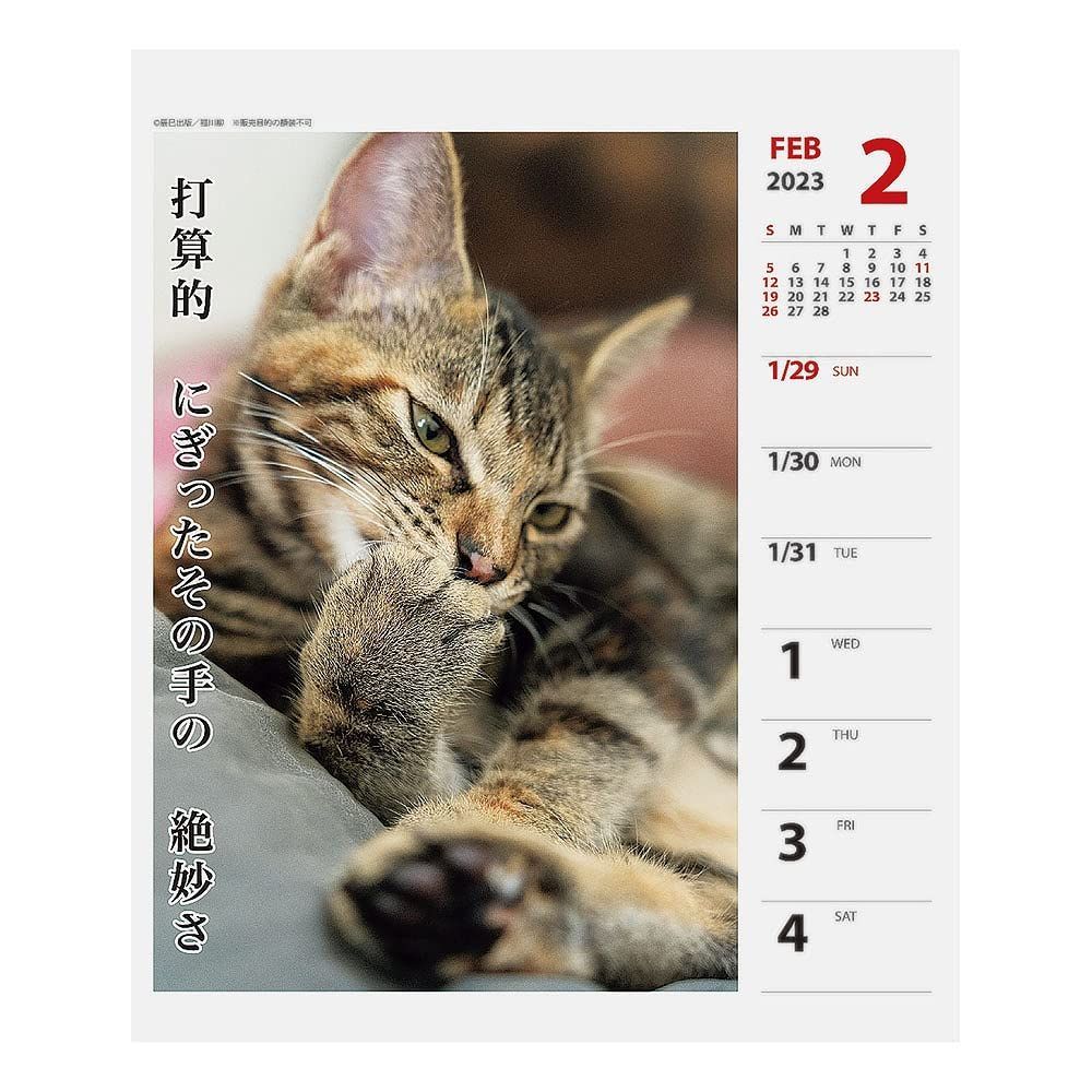 海外限定】 未使用 2023年 猫 卓上カレンダー