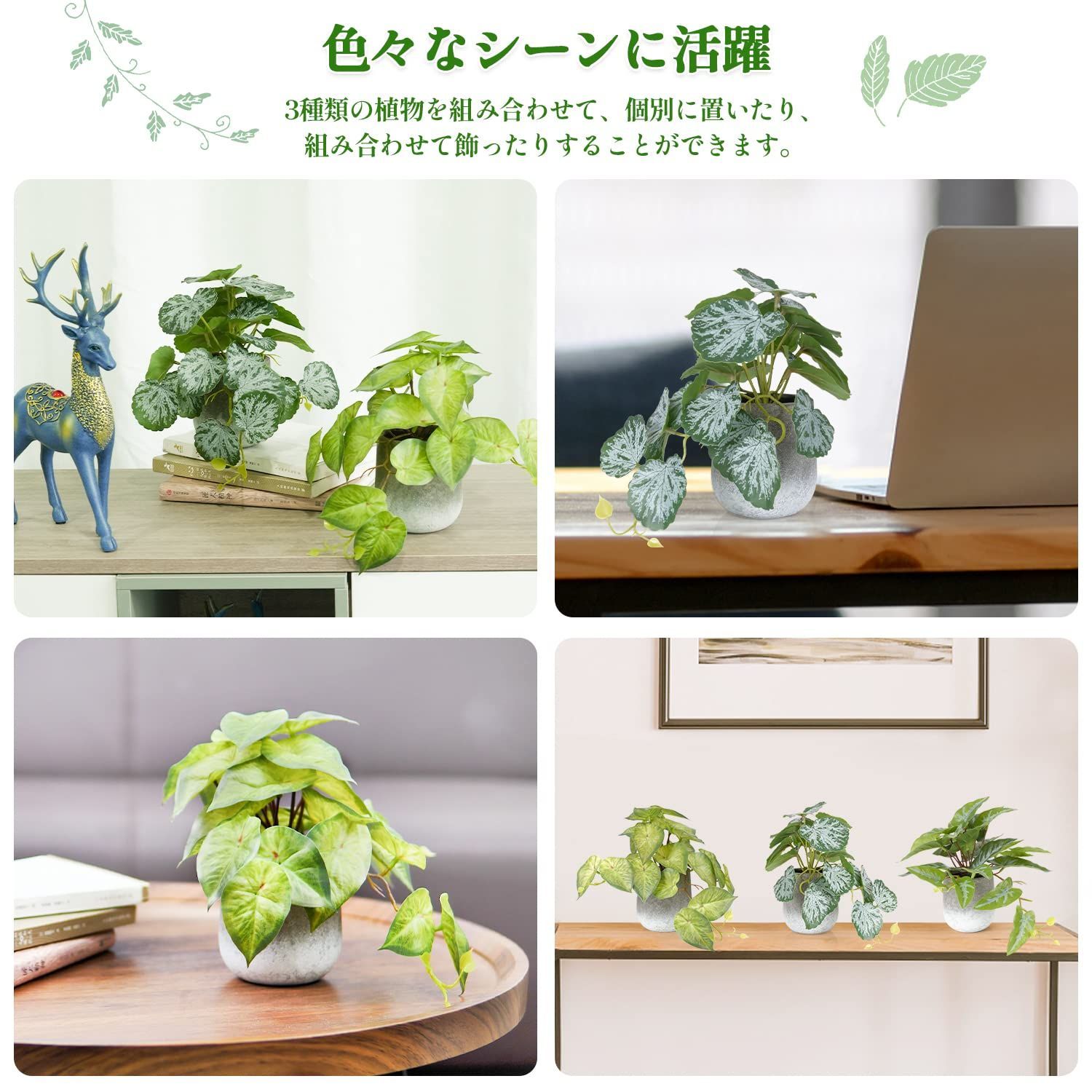 人気商品】鉢 植物 水やり不要 緑 おしゃれ お世話不要 小さい鉢植え 