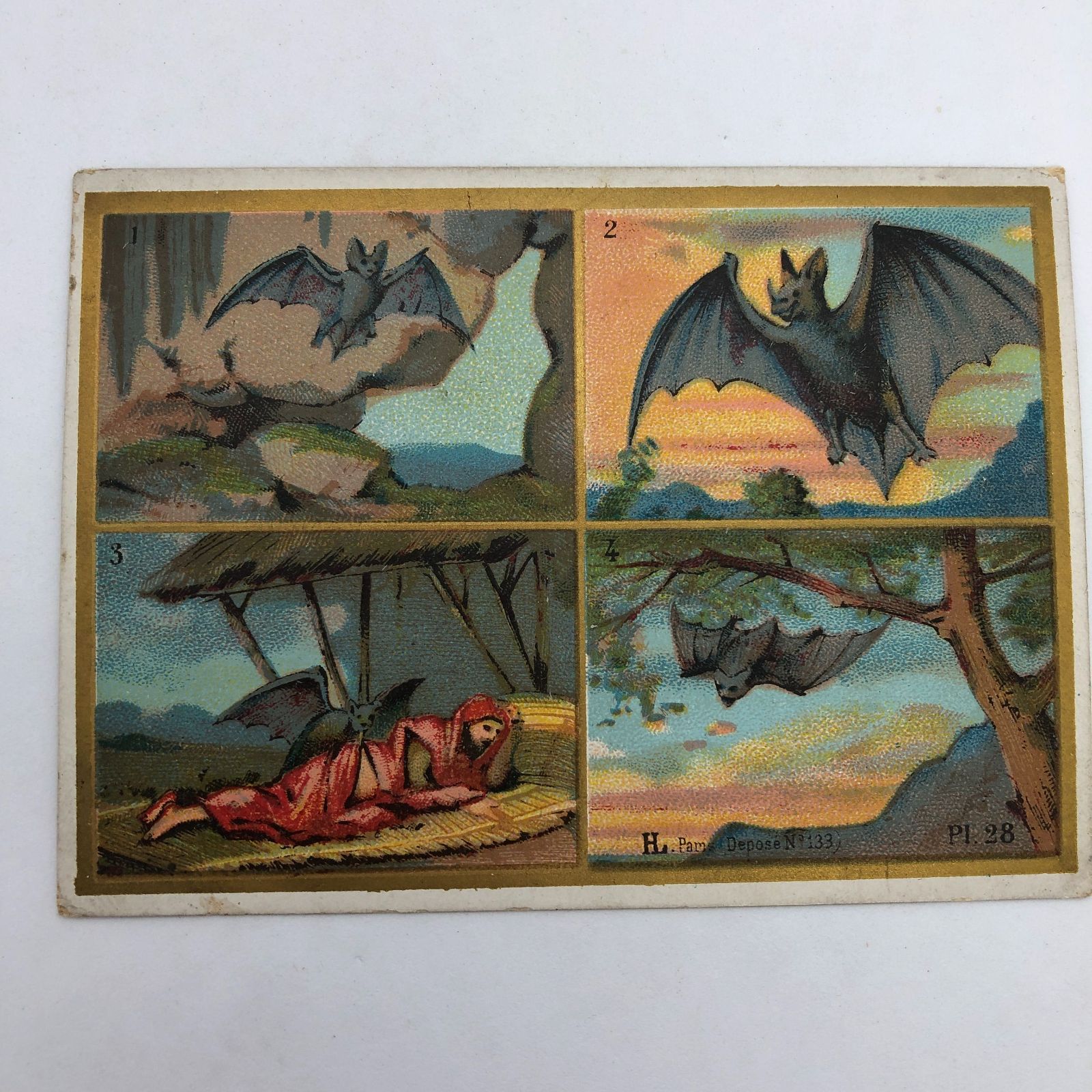 まとめ売り クロモカード ジャンクジャーナル フランス アンティーク まとめ売り クロモカード ジャンクジャーナル フランス