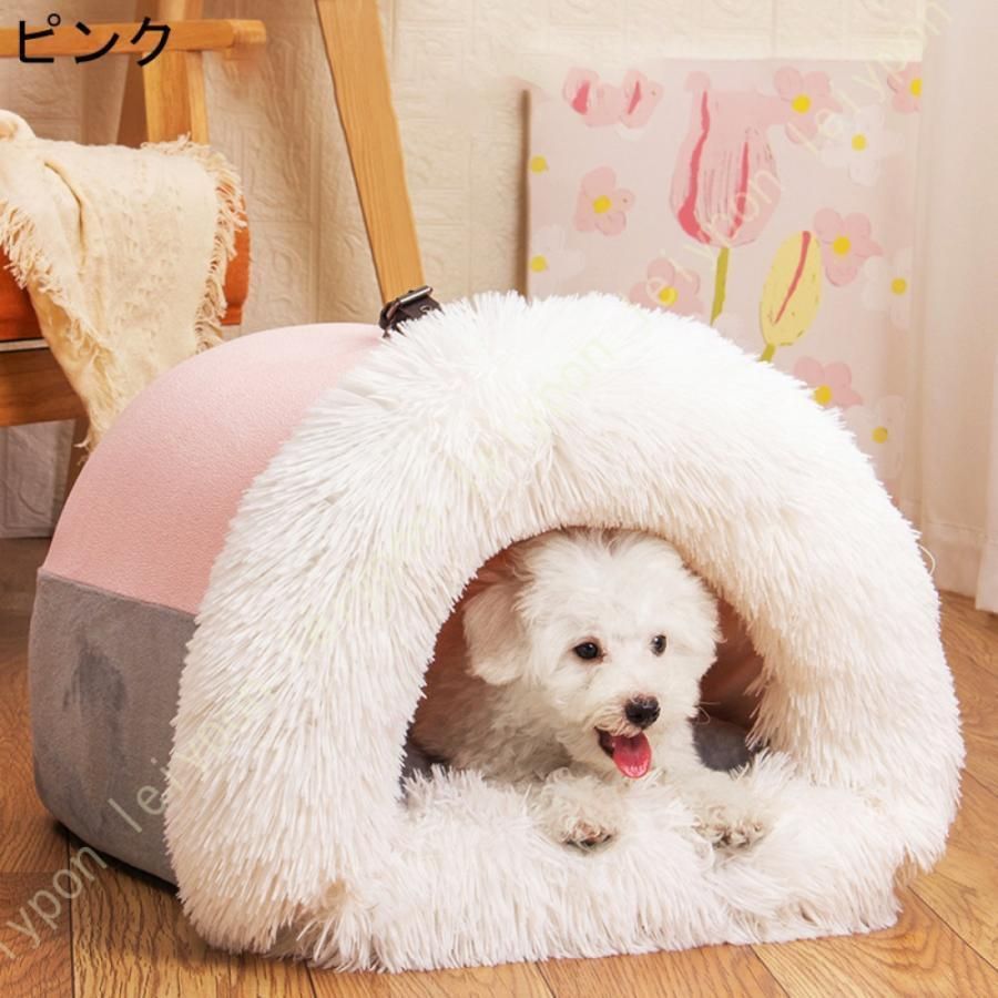 犬