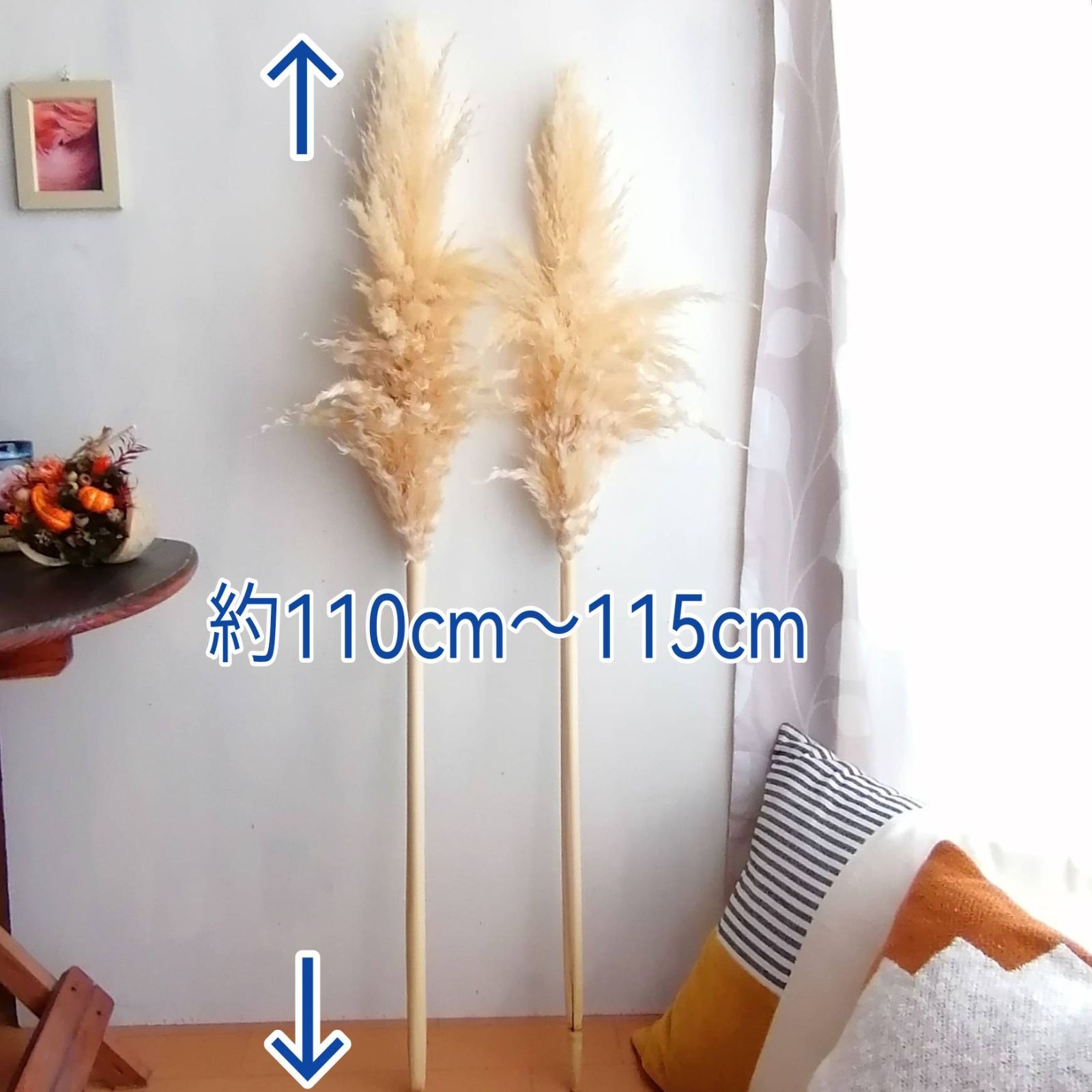 5本セット】パンパスグラス ドライフラワー 特大 110cm