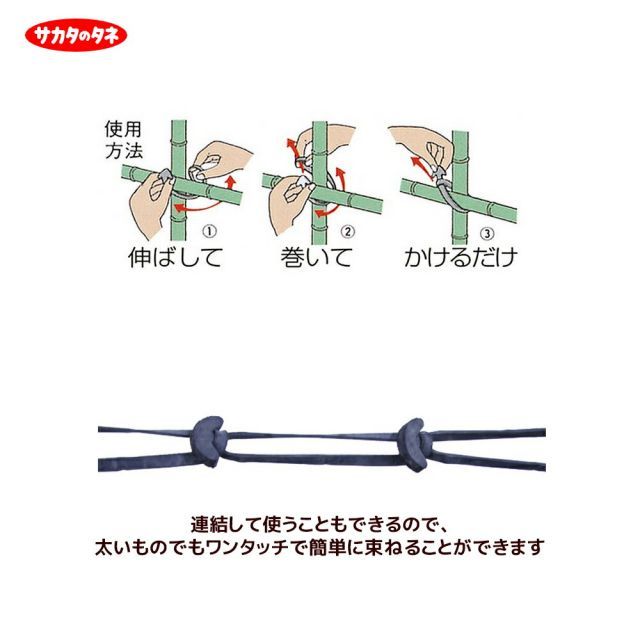 5箱セット品