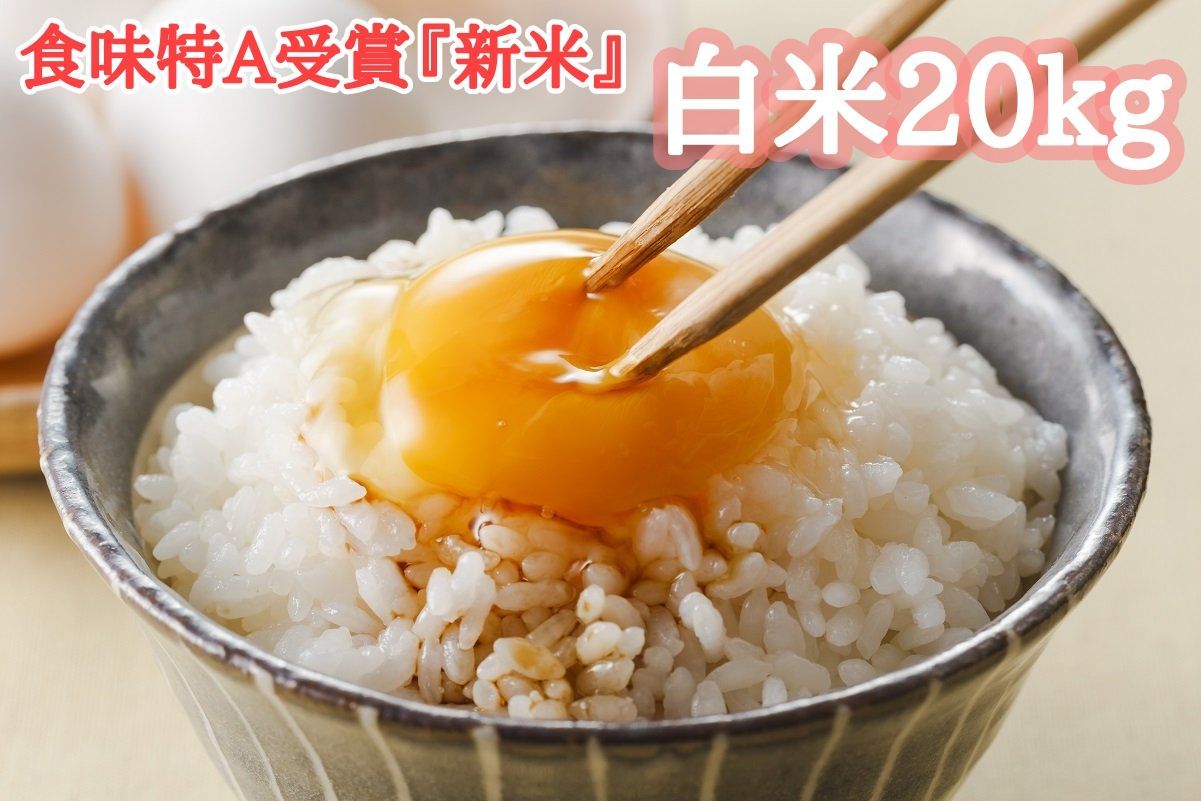 新米★食味特A★ミヤハラ米２０kg（白米）11年連続食味特A受賞品種 さがびより