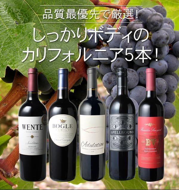 ワイン5本セット 送料無料】うきたま 超おすすめ世界の白ワイン5本セット (白ワイン