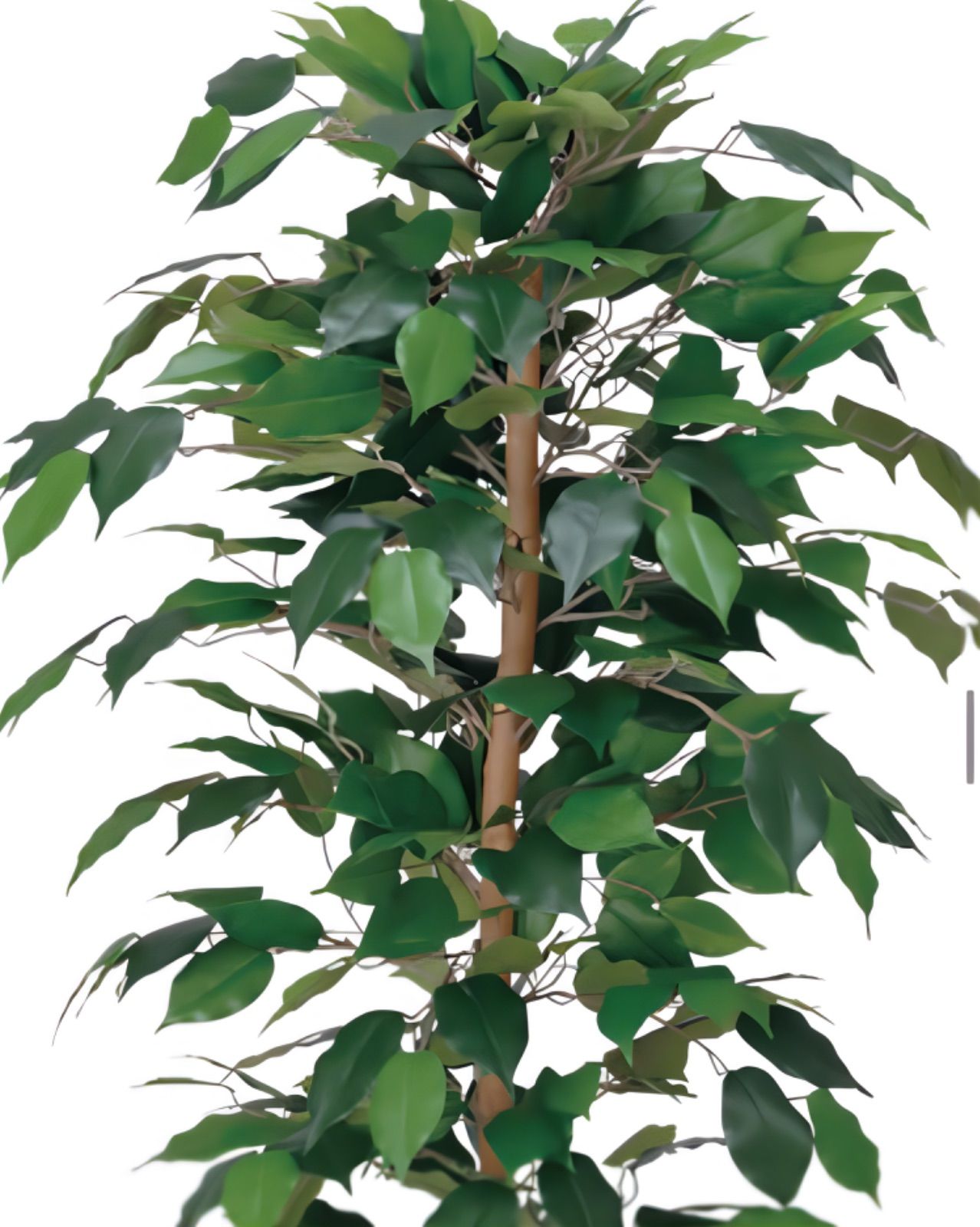 光触媒　人工観葉植物　フェイクグリーン　フィカスベンジャミン 1.2m5055