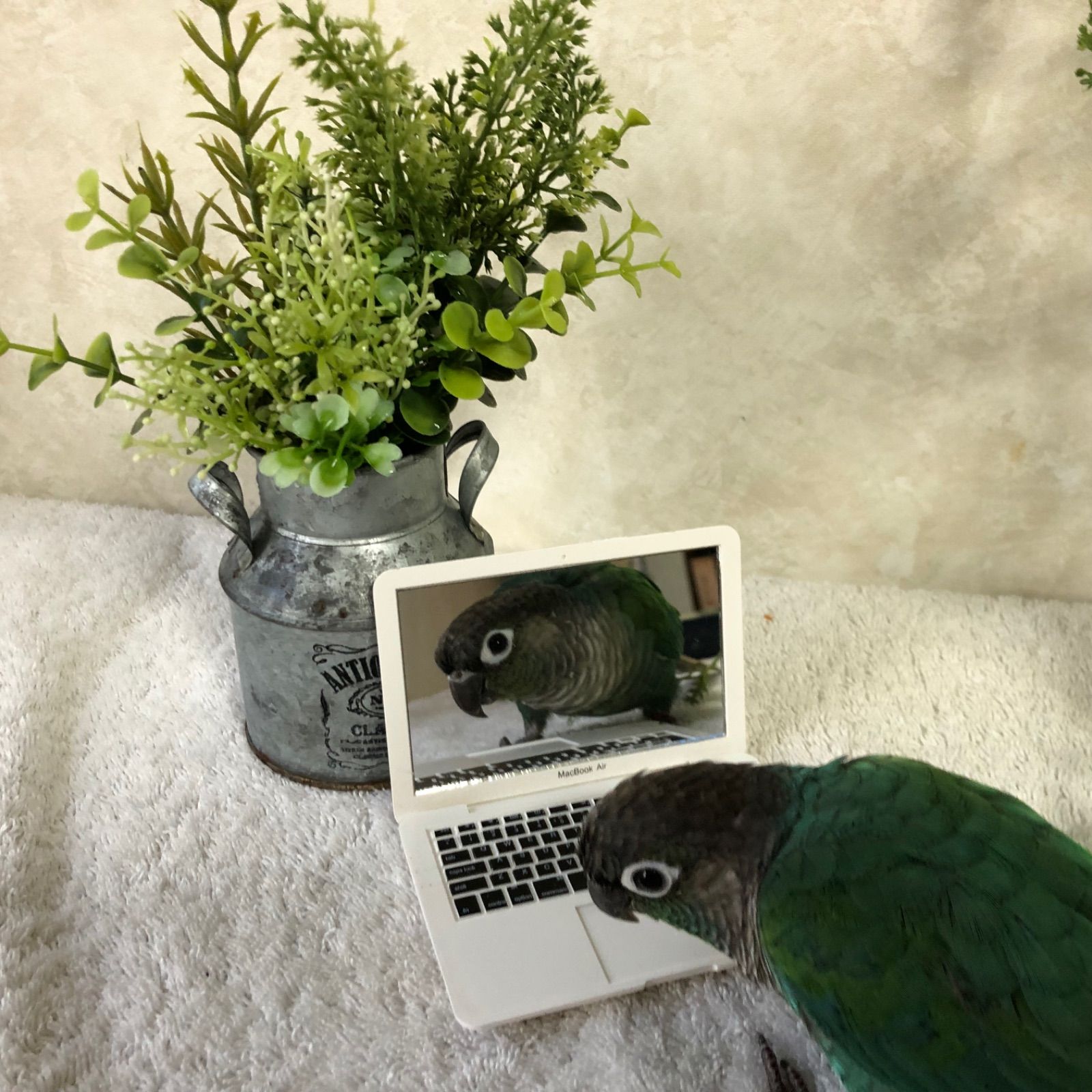 ミニチュア】Mac Book Air風コンパクトミラー【ホワイト】 - メルカリ
