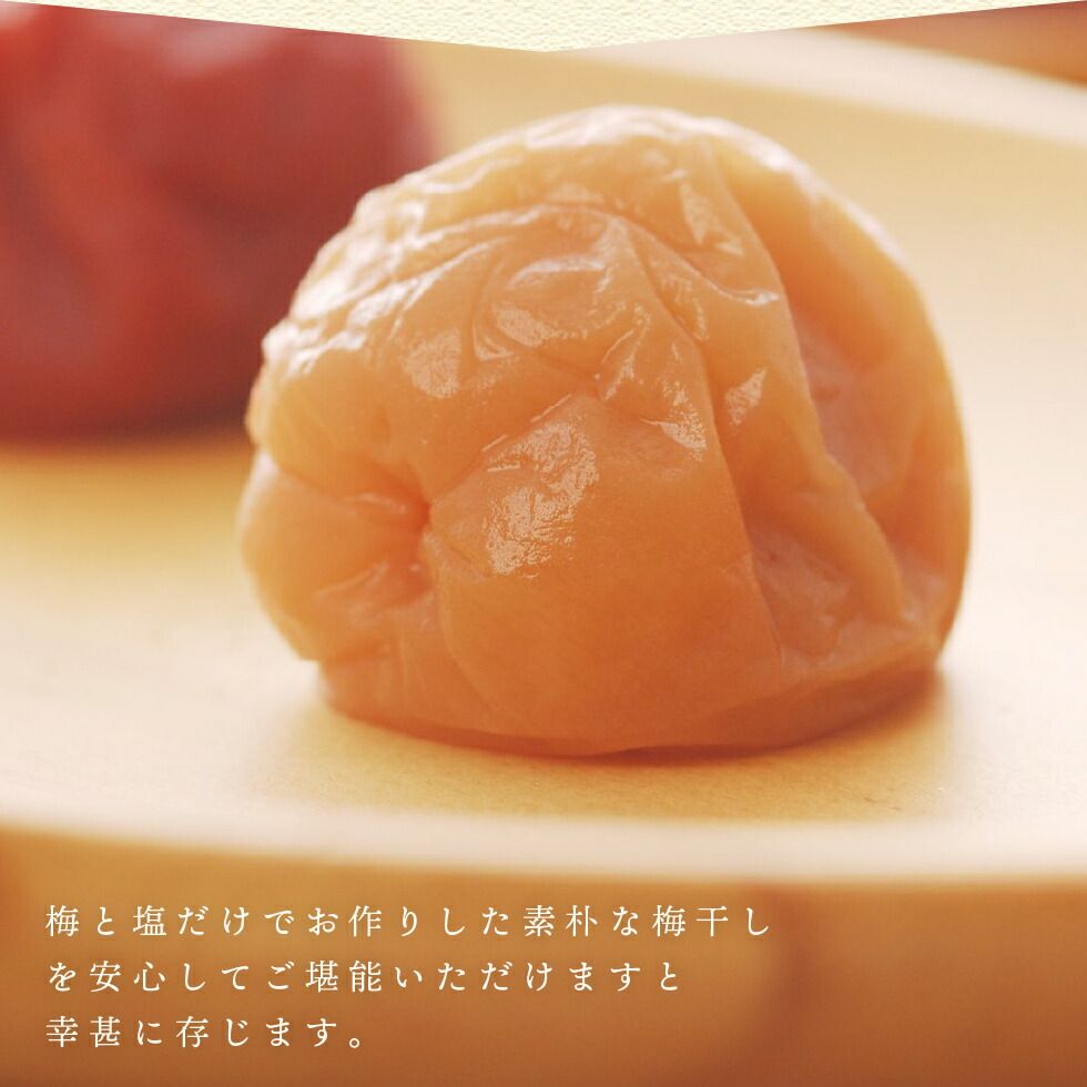 梅干し 無添加 紀州産南高梅 生粋 塩分20％ 600g 【トノハタ公式】｜ 20 以上 塩だけ  完熟 梅干 うめぼし 和歌山県 お取り寄せグルメ 手土産 おすすめ 人気 高級 プチ贅沢 プレゼント 誕生日 母の日 父の日 敬老の日 お中元 お歳暮