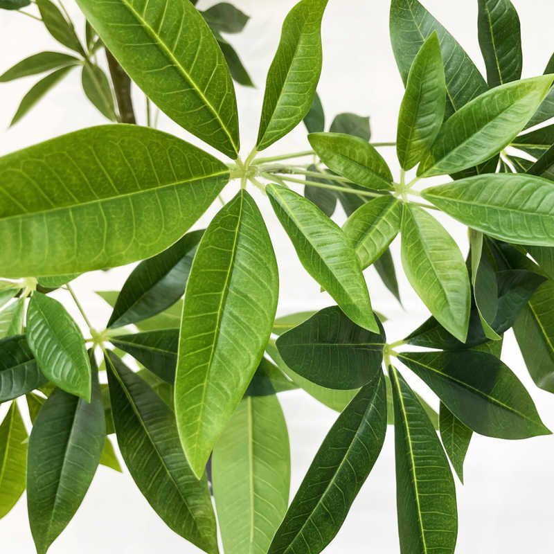 未開梱 送料無料