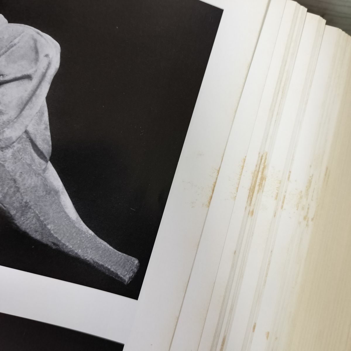 ミケランジェロ 彫刻家・画家・建築家 シャルル・ド・トルナイ著 田中