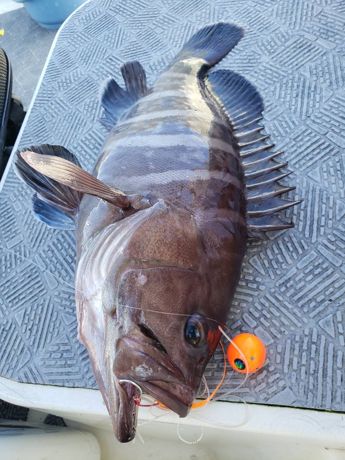 150g3個