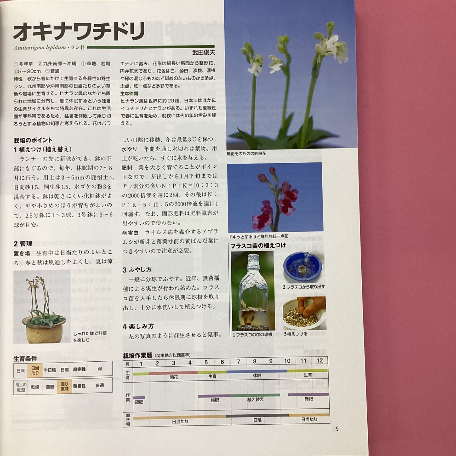 四季の山野草栽培 別冊NHK趣味の園芸　c16_2682-6