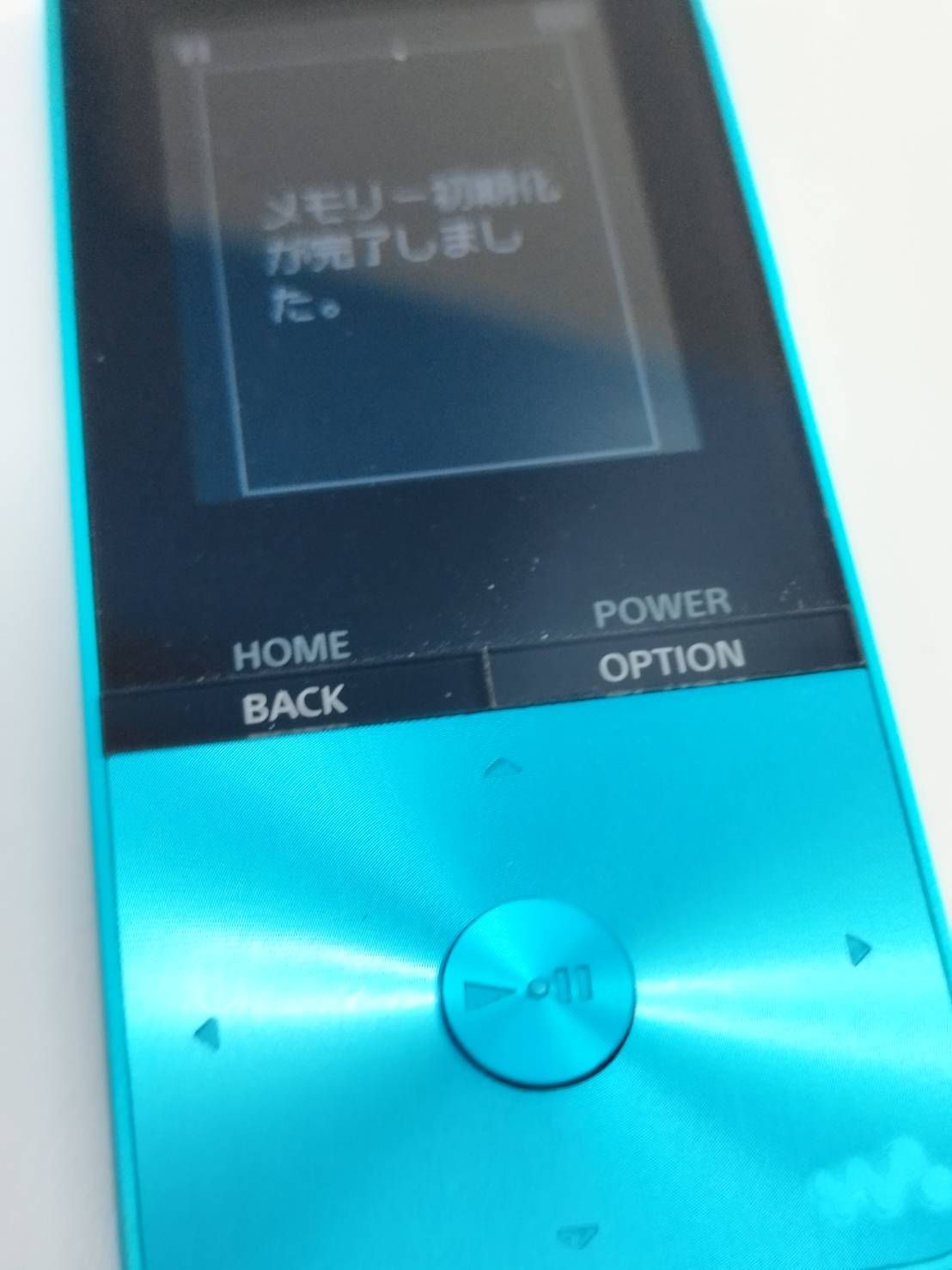 ソニー NW-S313-L ウォークマン Sシリーズ[メモリータイプ] 4GB ブルー