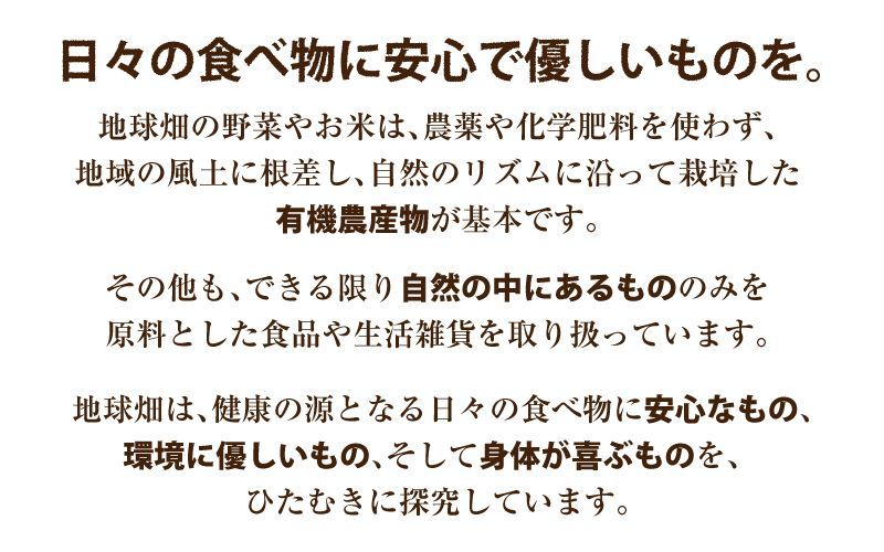有機かぼちゃと味噌のおかゆ12袋 計24袋