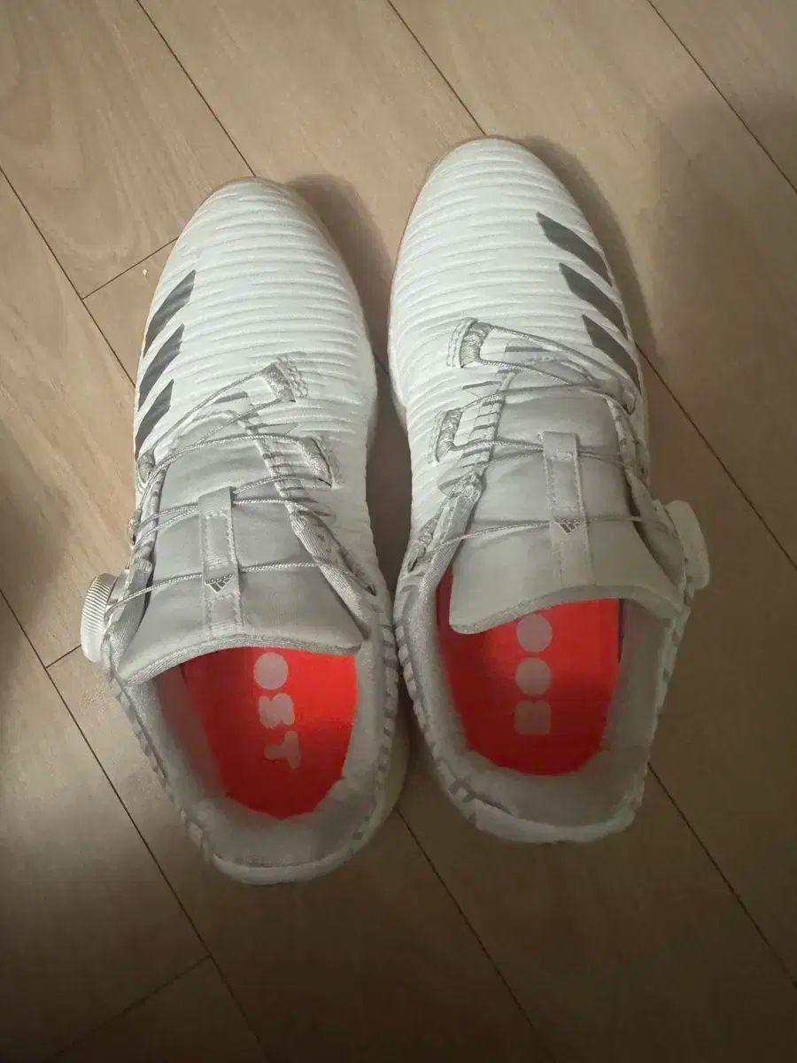 adidas アディダス ボア ゴルフシューズ