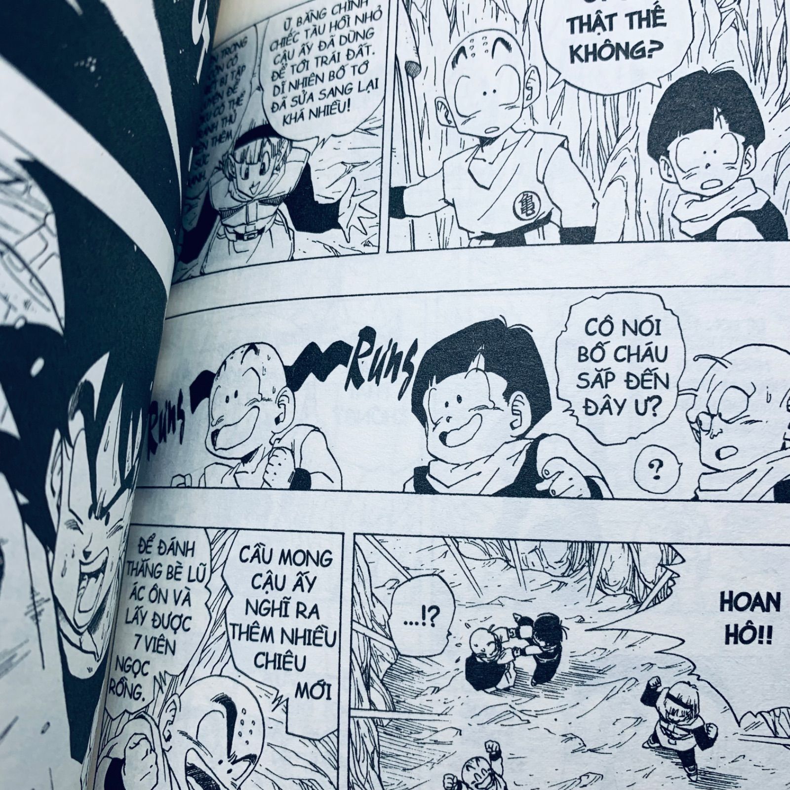 Dragon Ball: Tập 12 -22 【ドラゴンボール Vol.12 - 22 ベトナム語版 