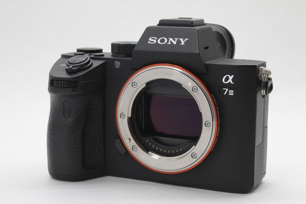 SONY α6000/限定解除済/即撮影セット/軽量本格一眼 SELP1650 SONY
