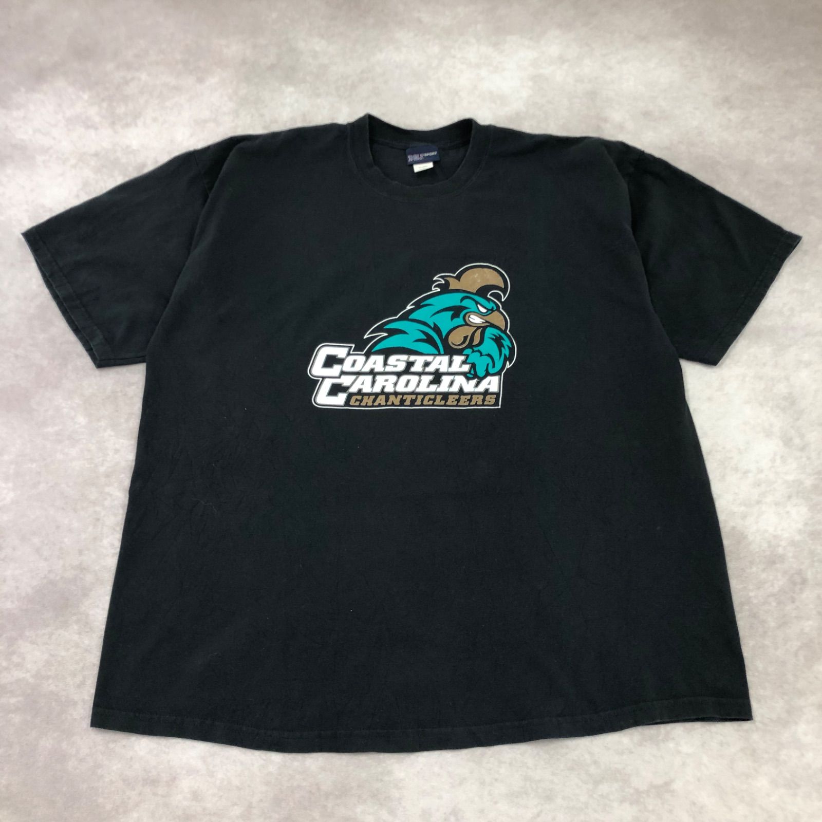 MV SPORT エムブイスポーツ プリント コースタル・キャロライナ大学 カレッジロゴ 鳥 イラスト キャラクター Tシャツ 半袖 古着 USED Vintage ヴィンテージ アメカジ