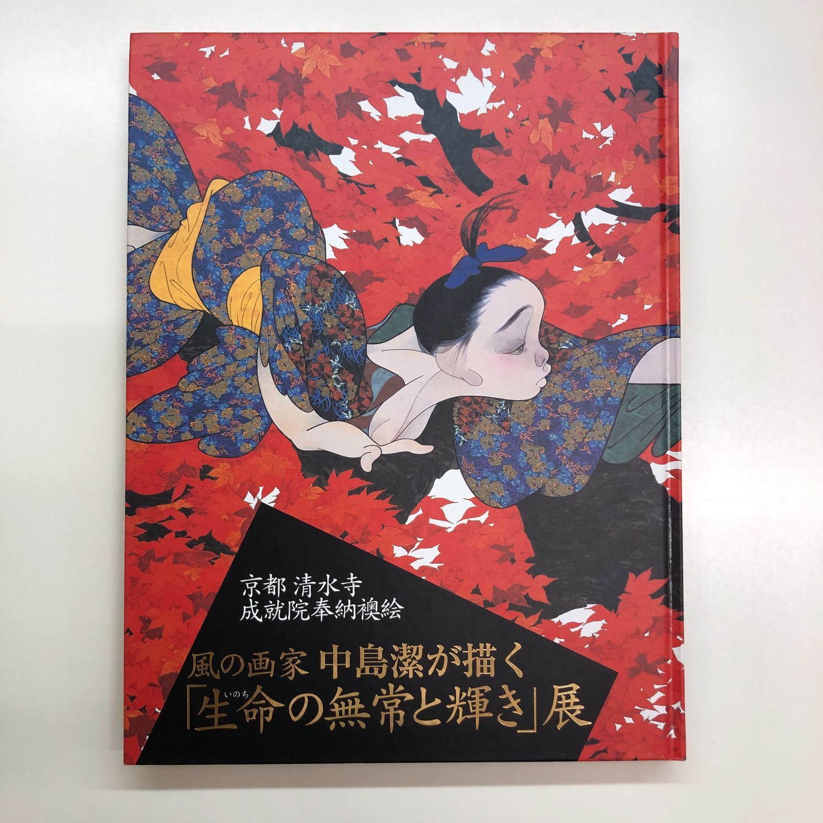 C]図録 風の画家 中島潔が描く「生命の無常と輝き」展 - メルカリ