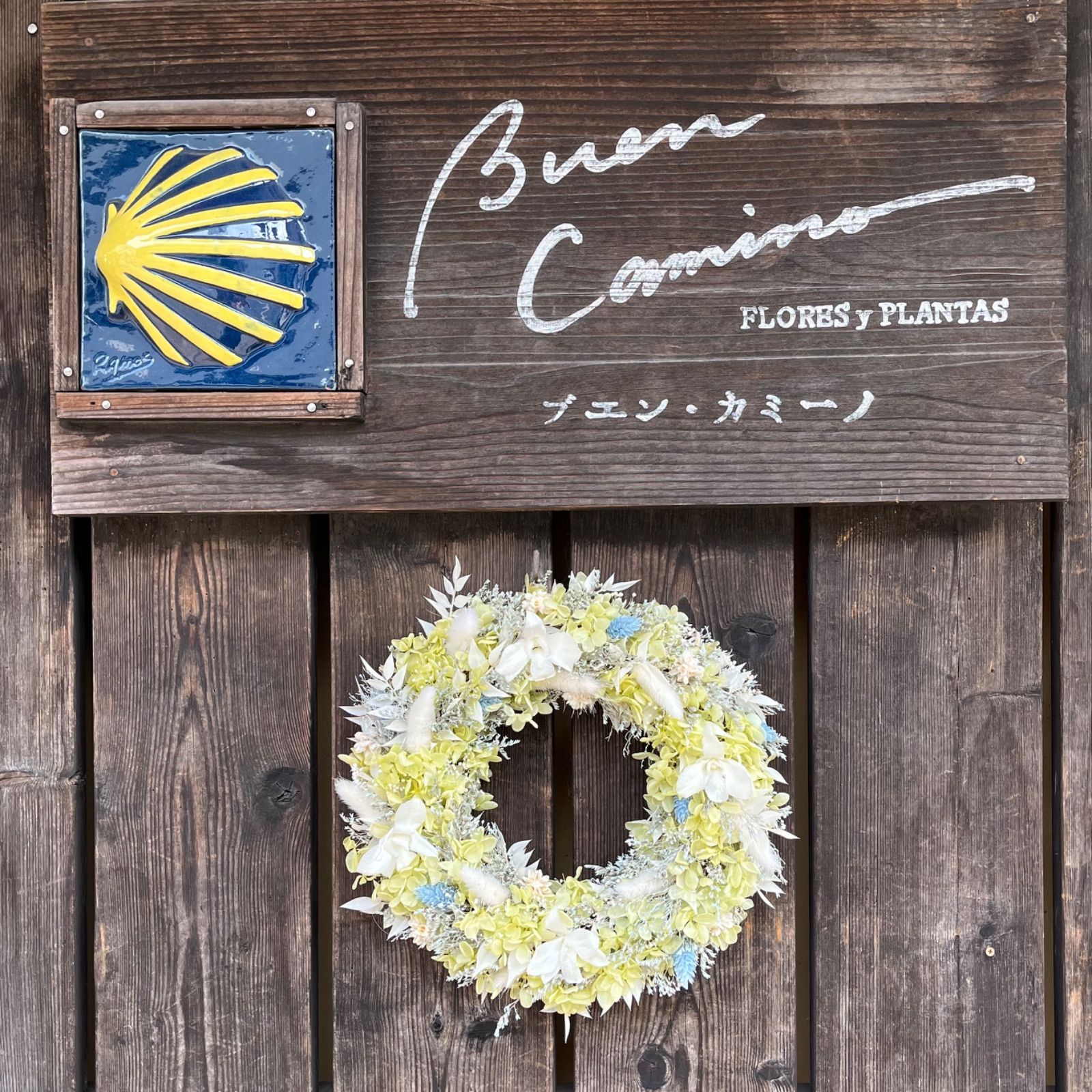 白グリーンにブルー