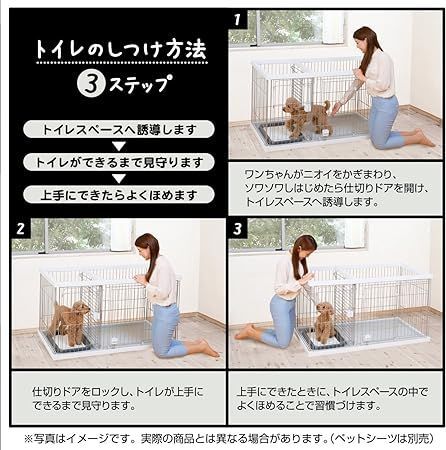 レギュラー