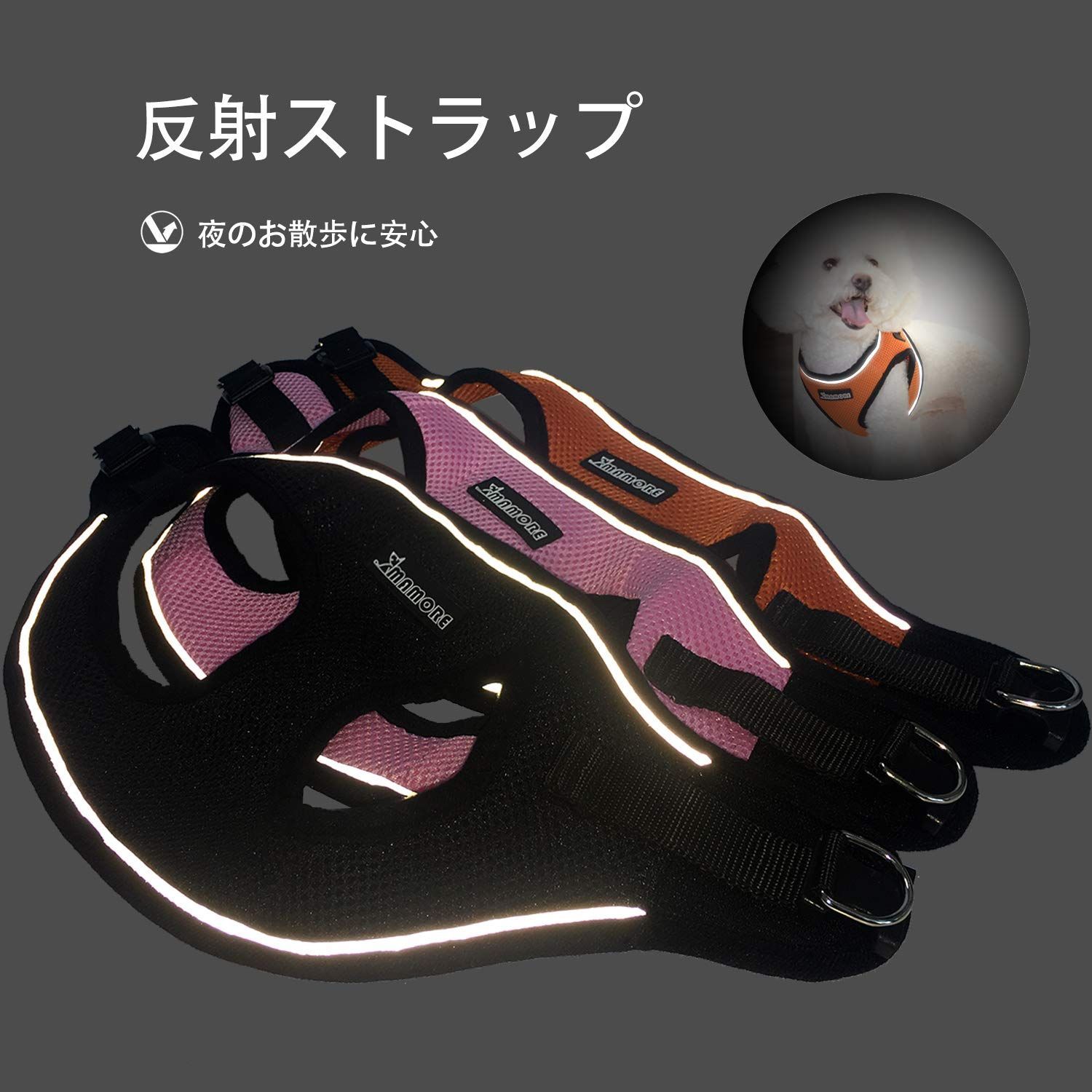 チワワ