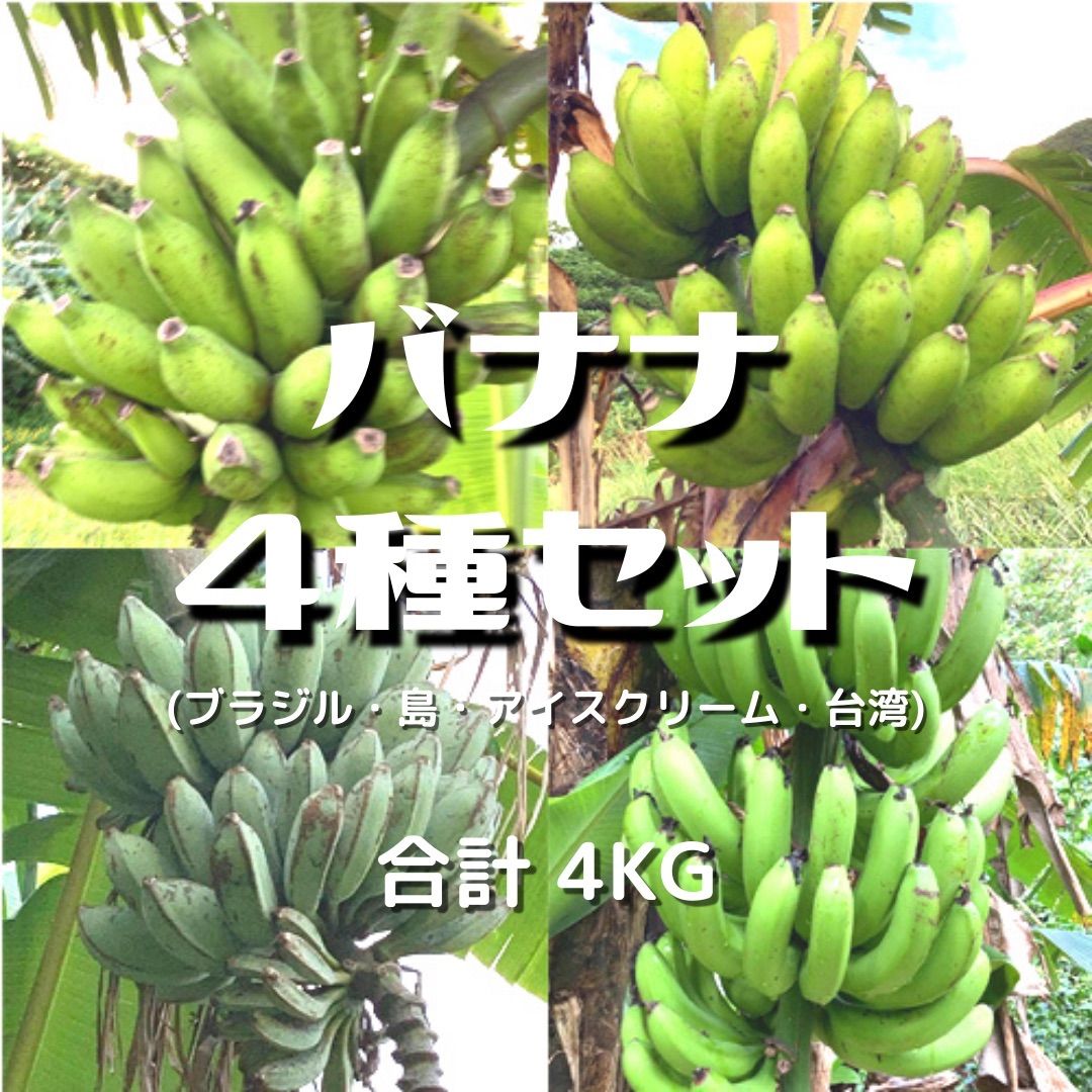 ISHIGAKI　4kg　FRUITS　SHOP　メルカリ　無農薬】石垣島産　バナナ4種セット