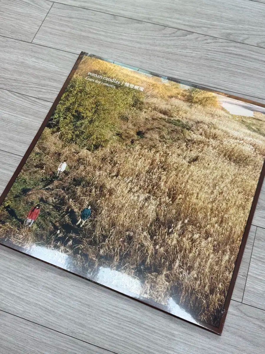 セール/未開封 Laura 購入 Day Romance Lp CD】Laura day セール/未開封 Laura 購入 Day Romance Lp CD】Laura day
