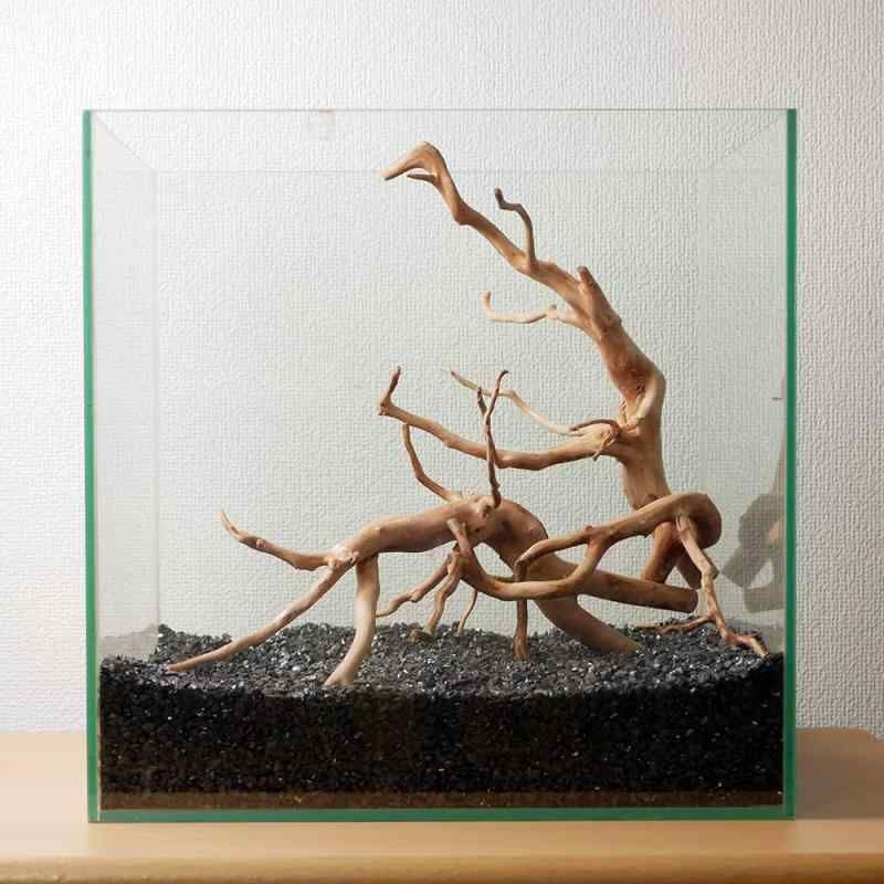 30cm水槽用 流木3本セット（ナチュラル色）【AQUASHOP wasabi