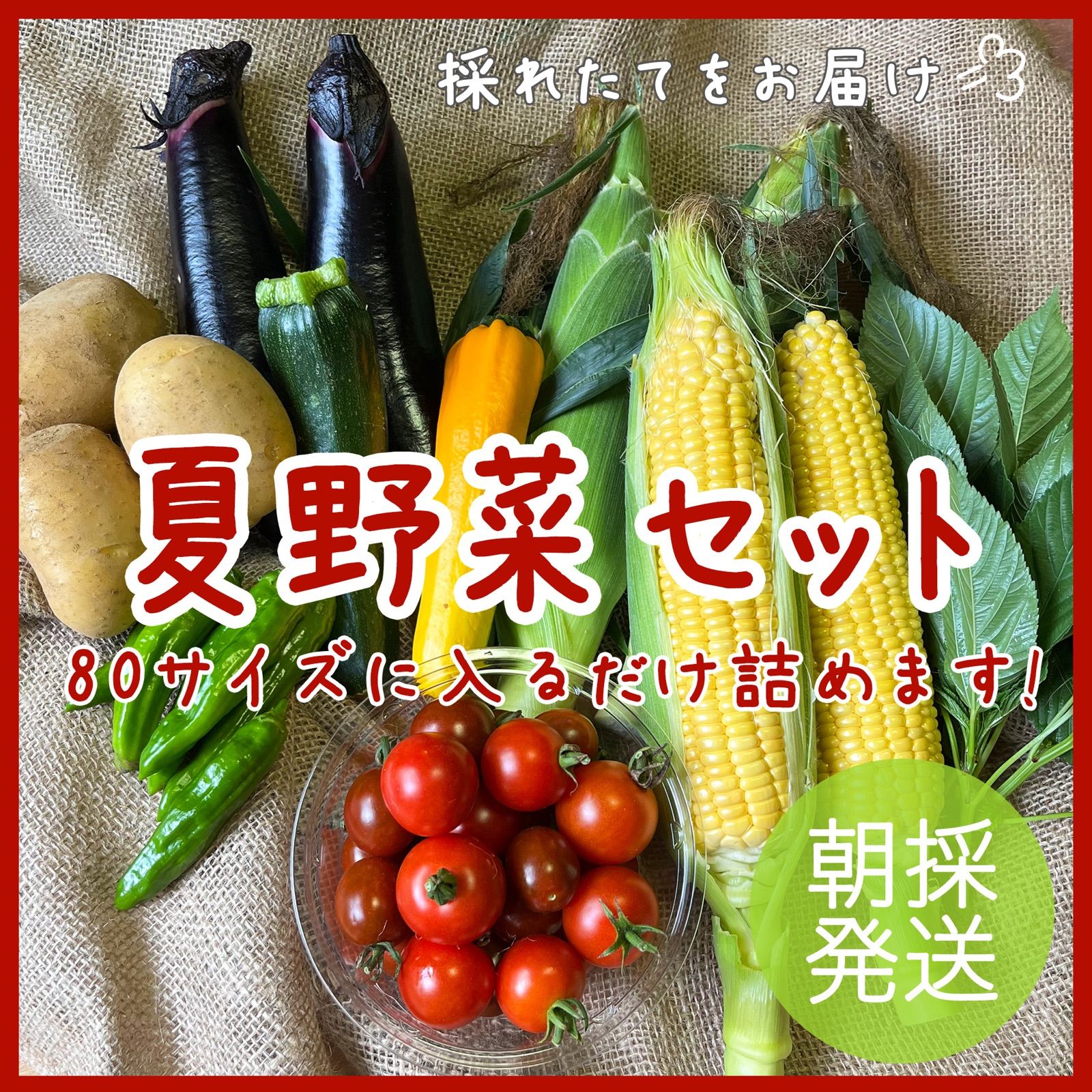 朝採れ⭐︎夏野菜セット！新鮮な野菜を厳選してお届け - it VEG STORE