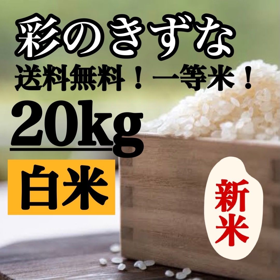 白米20kg 彩のきずな新米埼玉県産令和5年産送料無料米20キロ