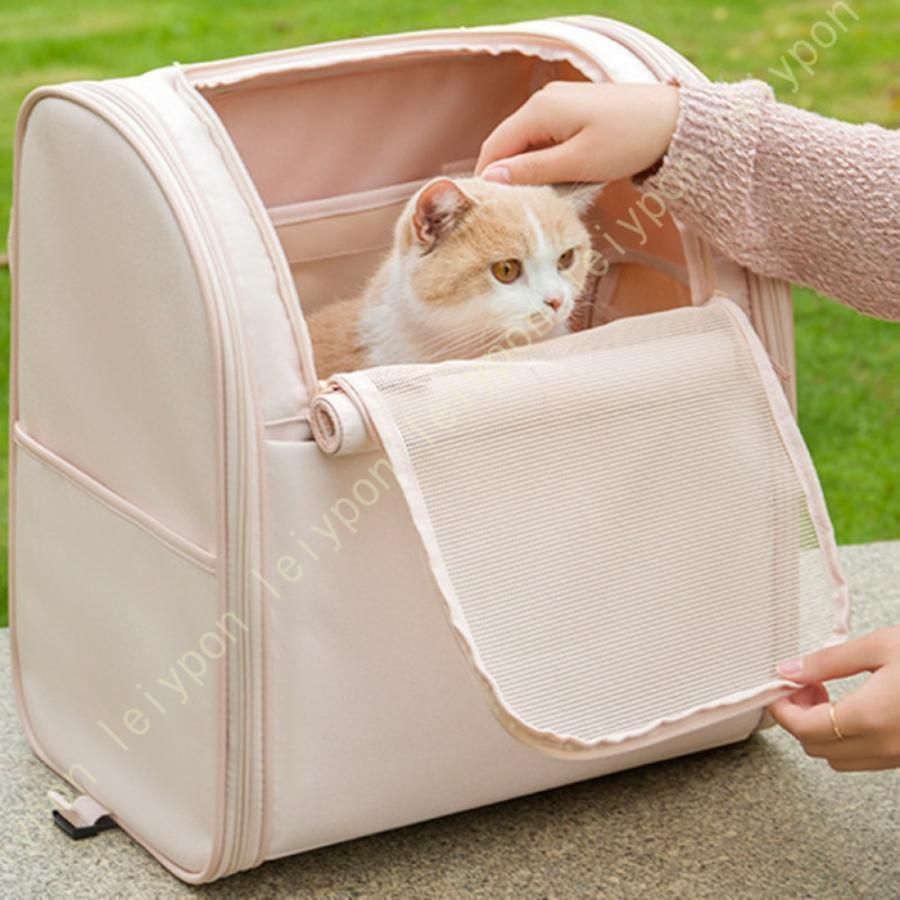 中型犬