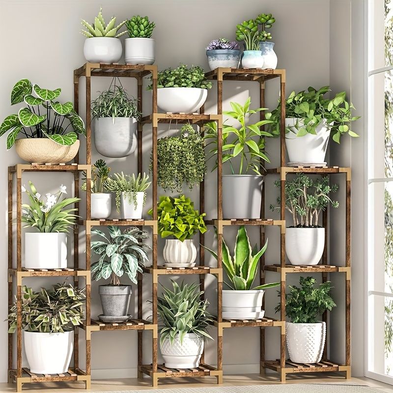 観葉植物