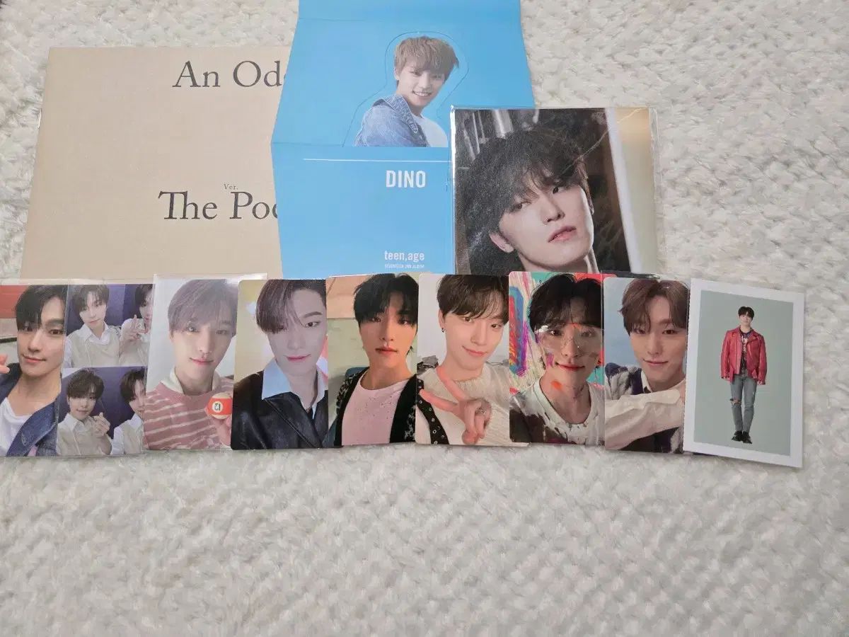 【匿名配送】SEVENTEEN DINO ディノ グッズ まとめ売り SEVENTEEN ディノまとめ売り DINO SEVENTEEN ディノまとめ売り DINO