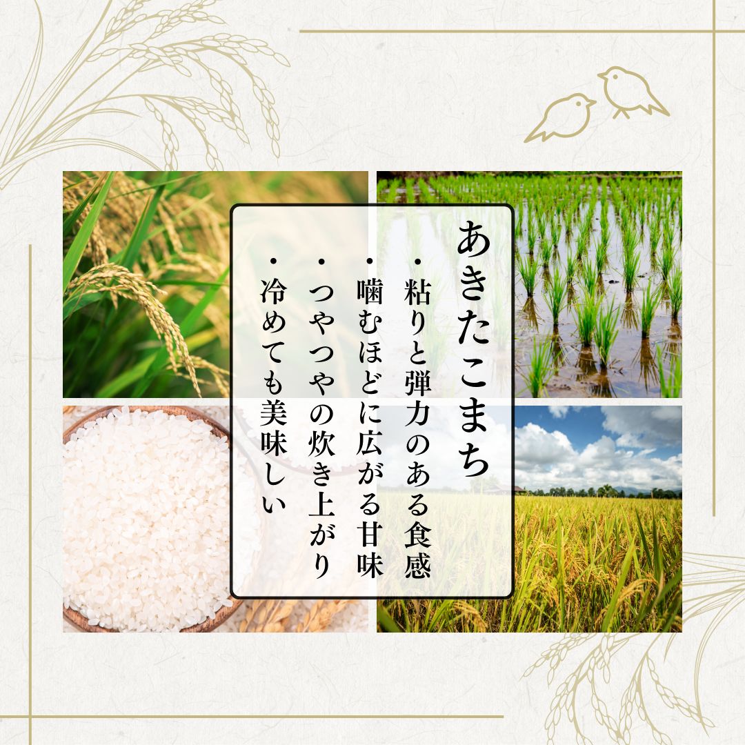 【お助け10kg】令和4年産 あきたこまち家計お助け米 農家直送便 10kg(5kg×2袋) 【お助け10kg】令和4年産 あきたこまち家計お助け米 農家直送便 10kg(5kg×2袋)