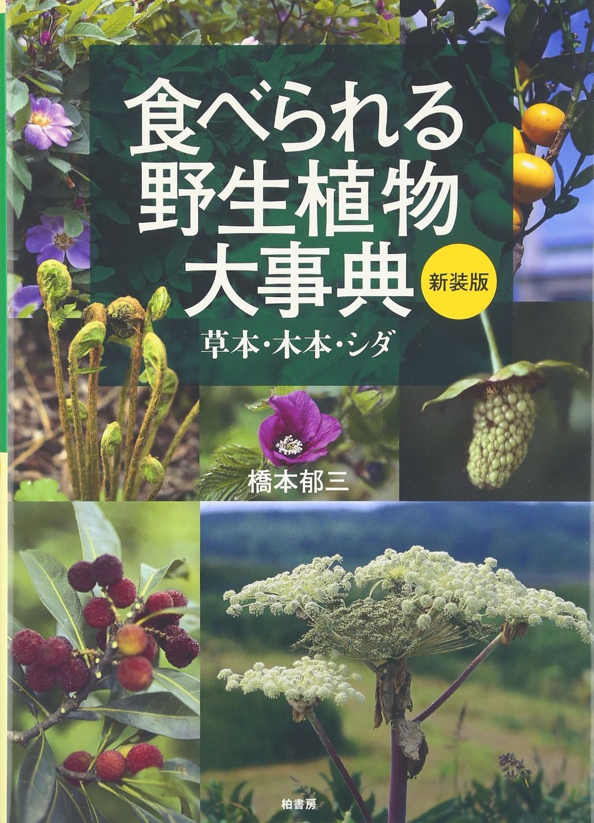 食べられる野生植物大事典 草本 木本 シダ