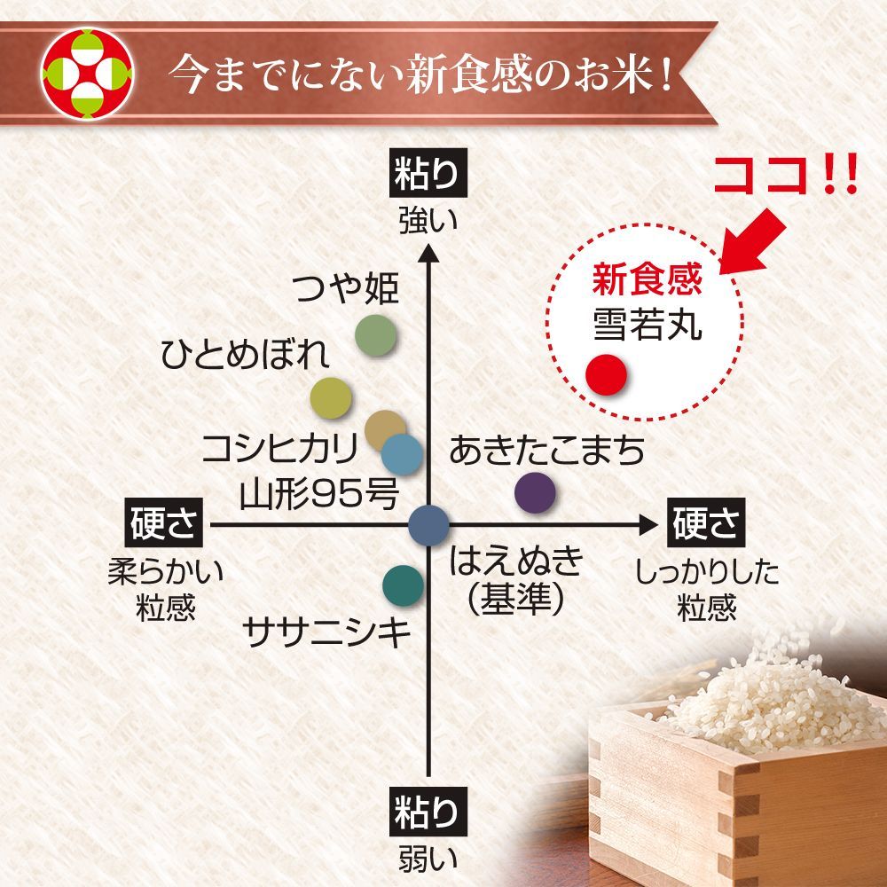 令和6年産 10キロ
