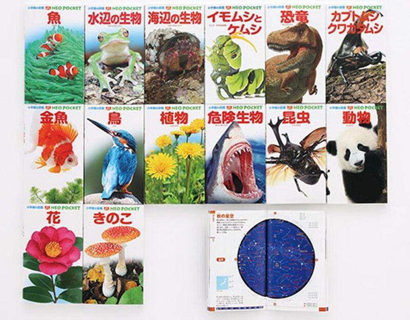 小学校の図鑑 NEO 12冊セット DVD4枚 マクドナルドミニ図鑑 小学館の