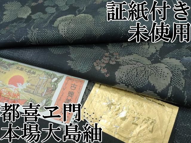 平和屋本店□極上 都喜ヱ門 本場大島紬 9マルキ 葡萄ごよみ 藤絹織物  