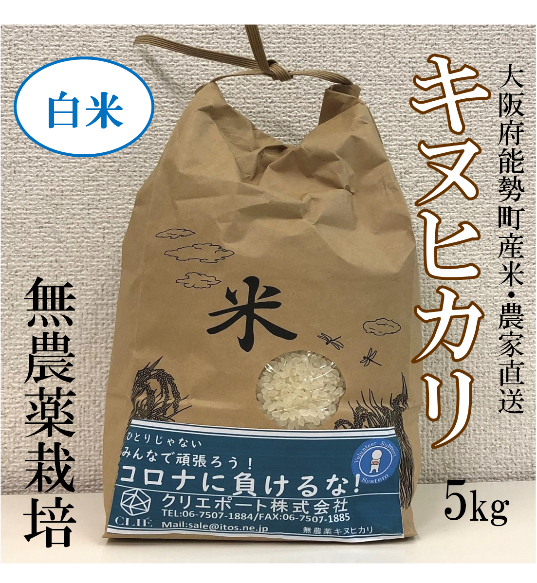 お米【令和3年産】　キヌヒカリ　5kg 　大阪府産　農家直送