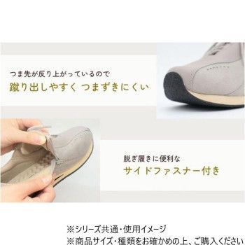 フィル