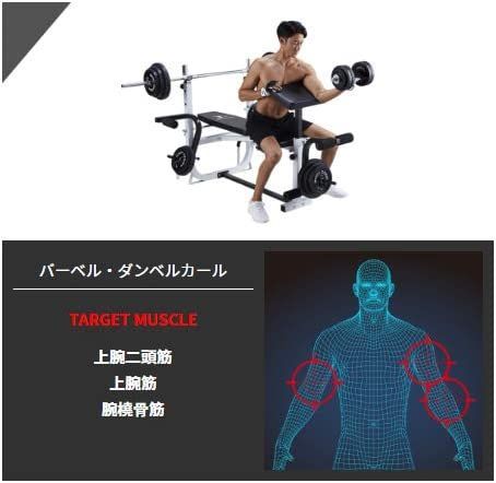 BODY DESIGN(ボディデザイン)マルチプレスベンチ トレーニングベンチ