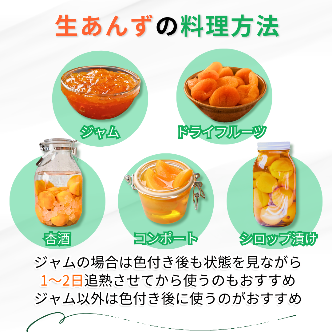 小玉あんず～杏シロップ・杏酒用～【内容量】約1.8kg【配送方法】クール配送【サイズ】L以下【品目】杏（あんず）【品種】当店お任せ【産地】長野県【規格】ご家庭用A品B品混合【詰め方】バラ詰め【配送までの日数】1～4日